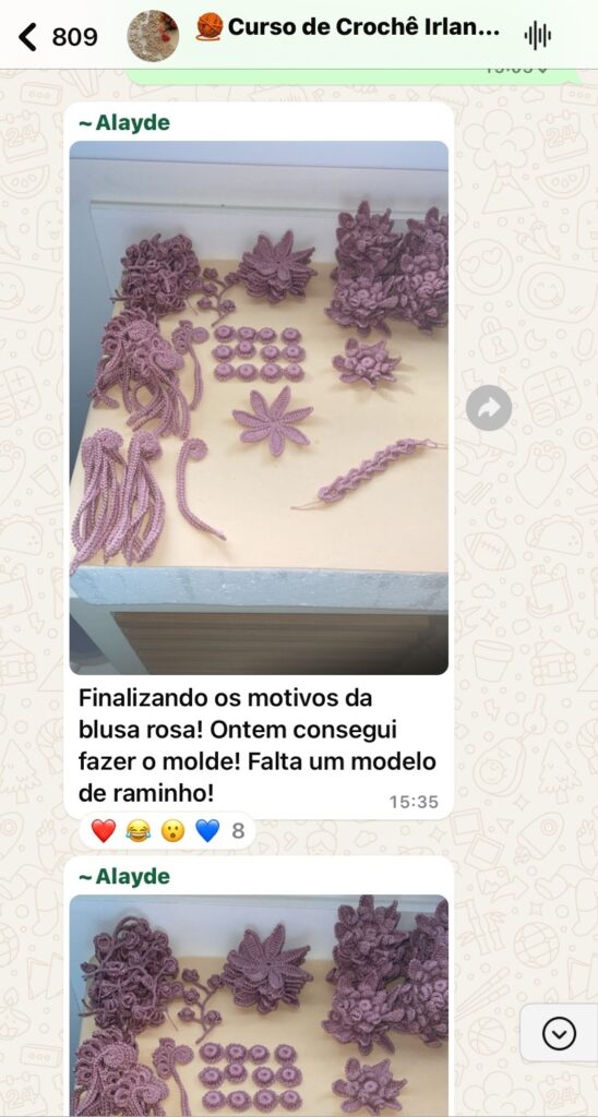 Imagem do WhatsApp de 2025-07-03 à(s) 17.29.13_50088b83